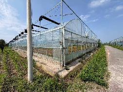 江苏徐州睢宁县梁集镇示范园区1#连栋薄膜温室招租项目公告(国资监测编号GR2026JS4003436)