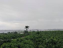 海口市三江镇丁荣水库南侧3宗土地使用权（含地上经济作物）分别公开招租