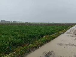 红河州蒙自市草坝镇一宗土地租赁(国资监测编号GR2026YN1000665)
