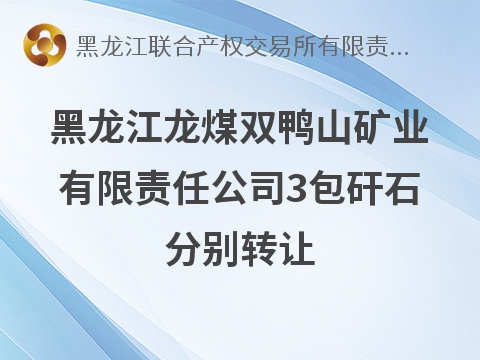 黑龙江龙煤双鸭山矿业有限责任公司3包矸石分别转让交易公告