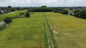 南陵县弋江镇上洲村潘村组外滩约305亩土地5年期经营权出租公告