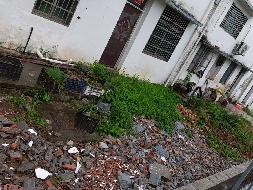 衢江区全旺镇全旺村党群服务中心后（将军路东侧）土地公开挂牌招租