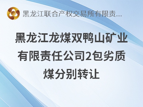 黑龙江龙煤双鸭山矿业有限责任公司2包劣质煤分别转让交易公告
