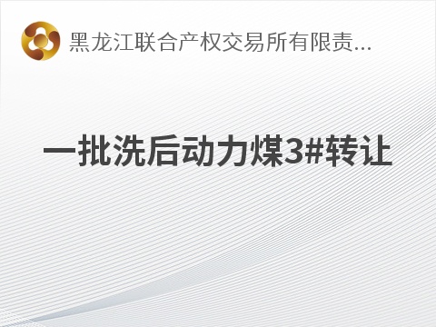 一批洗后动力煤3#转让交易公告(国资监测编号GR2026HL2005661)
