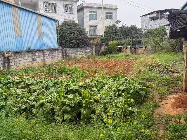 富川瑶族自治县福利镇福利街房产转让公告