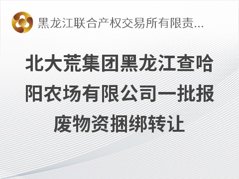 北大荒集团黑龙江查哈阳农场有限公司一批报废物资捆绑转让交易公告(国资监测编号GR2026HL2005654)