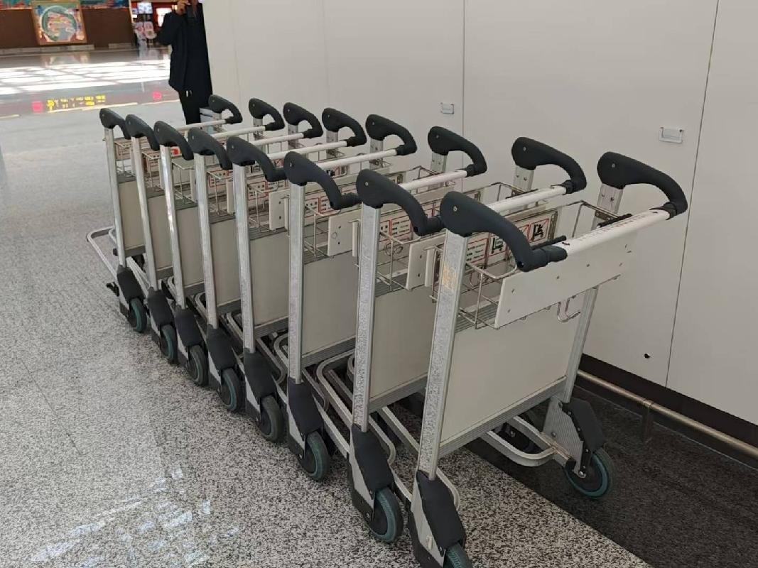 兰州机场T3航站楼普通手推车广告资源招租公告(国资监测编号GR2026GS1001393)