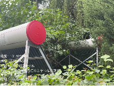 东宁市机关幼儿园报废固定资产拍卖转让公告