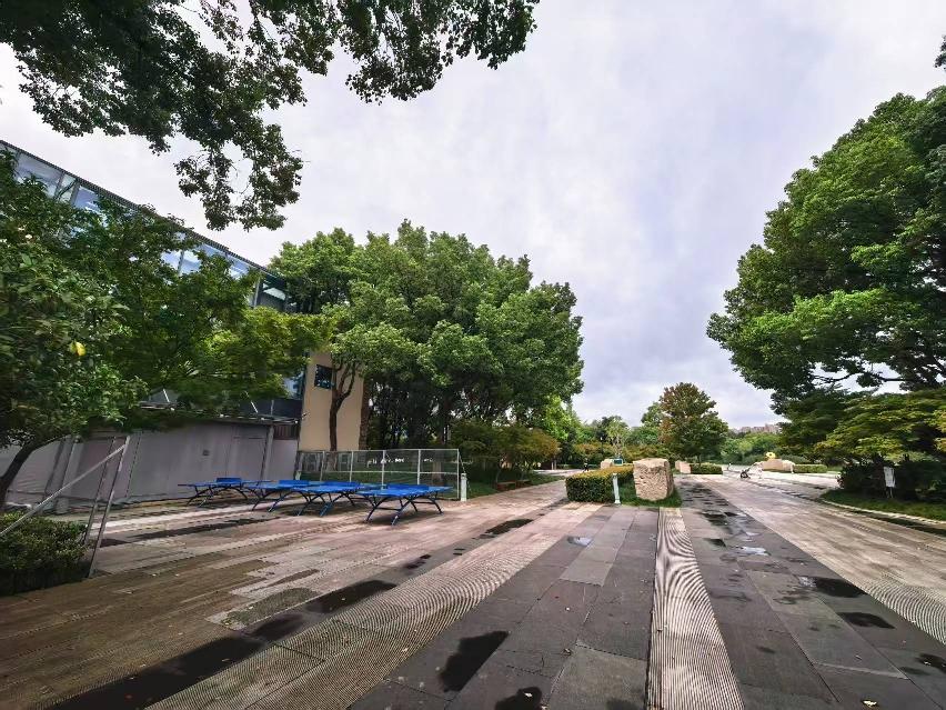 常州市钟楼区青枫公园场地租赁招租公告