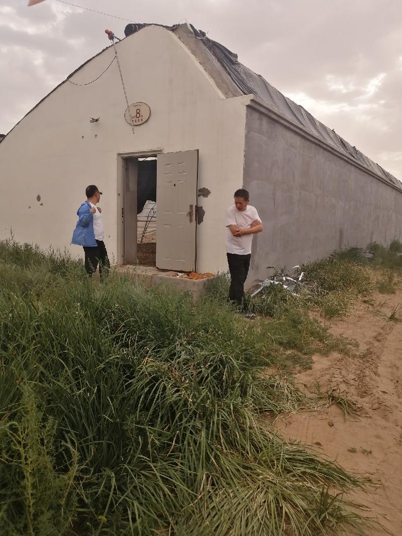 乌海市乌达区海勃湾水利枢纽工程库区移民农业创业园项目31栋温室大棚整体出租（租金底价：124000元/年，租期：3年）