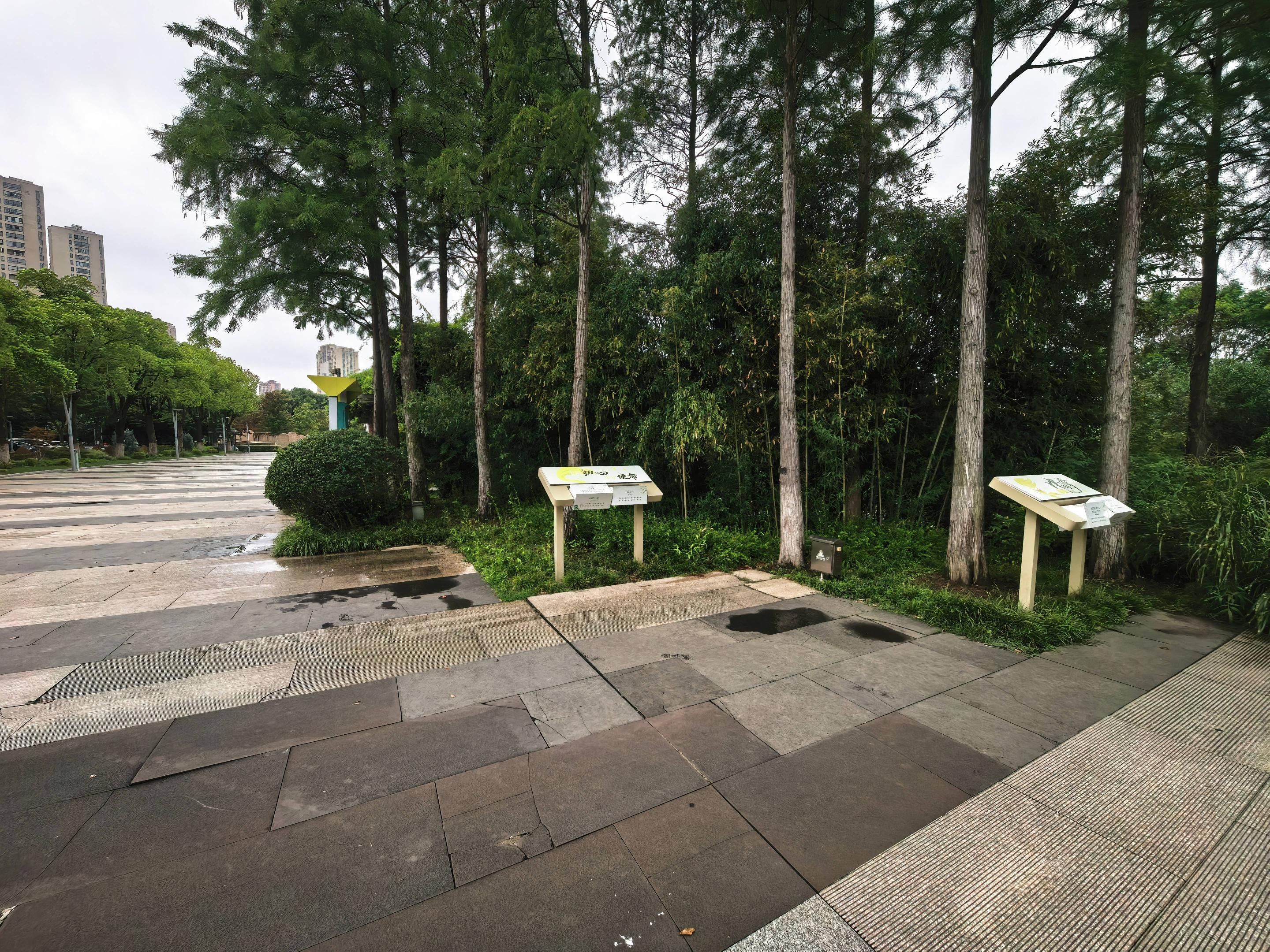 常州市钟楼区青枫公园场地租赁招租公告