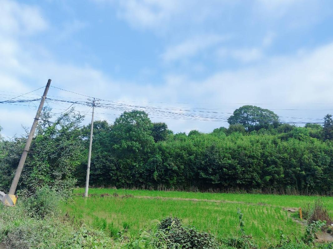 衢江区后溪镇东华村土方一批公开挂牌转让