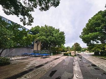 常州市钟楼区青枫公园场地租赁招租公告