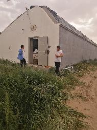 乌海市乌达区海勃湾水利枢纽工程库区移民农业创业园项目31栋温室大棚整体出租（租金底价：124000元/年，租期：3年）