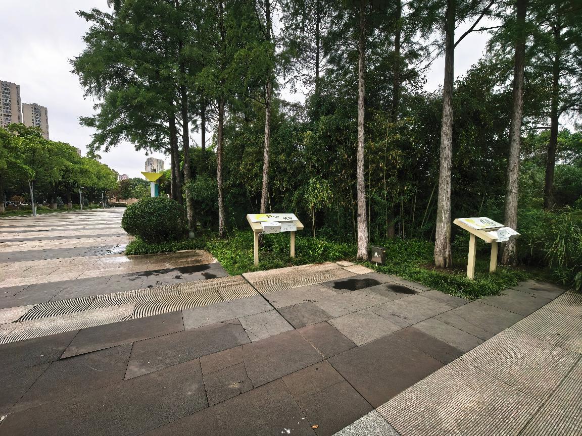 常州市钟楼区青枫公园场地租赁招租公告