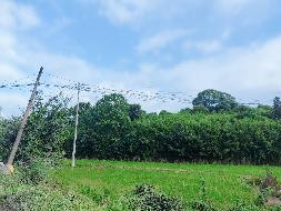 衢江区后溪镇东华村土方一批公开挂牌转让
