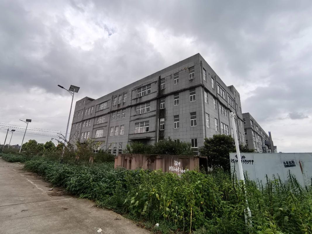 无为市高沟镇隆兴村隆兴洲大道北侧（无为经济开发区产业投资有限公司）1#厂房出租公告(国资监测编号GR2026AH2002389)