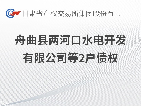 舟曲县两河口水电开发有限公司等2户债权打包转让公告