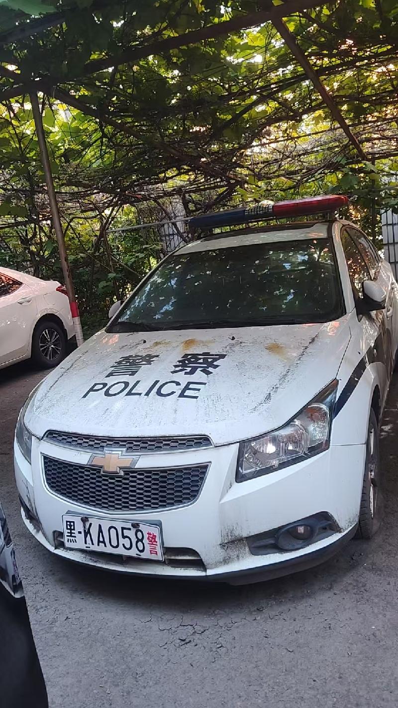 七台河市桃山区人民法院1台报废车辆转让交易公告(国资监测编号GR2026HL2005885)