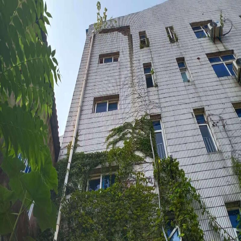 南陵县籍山镇利民路东侧水利中心大楼房产转让公告(国资监测编号GR2026AH2002411)