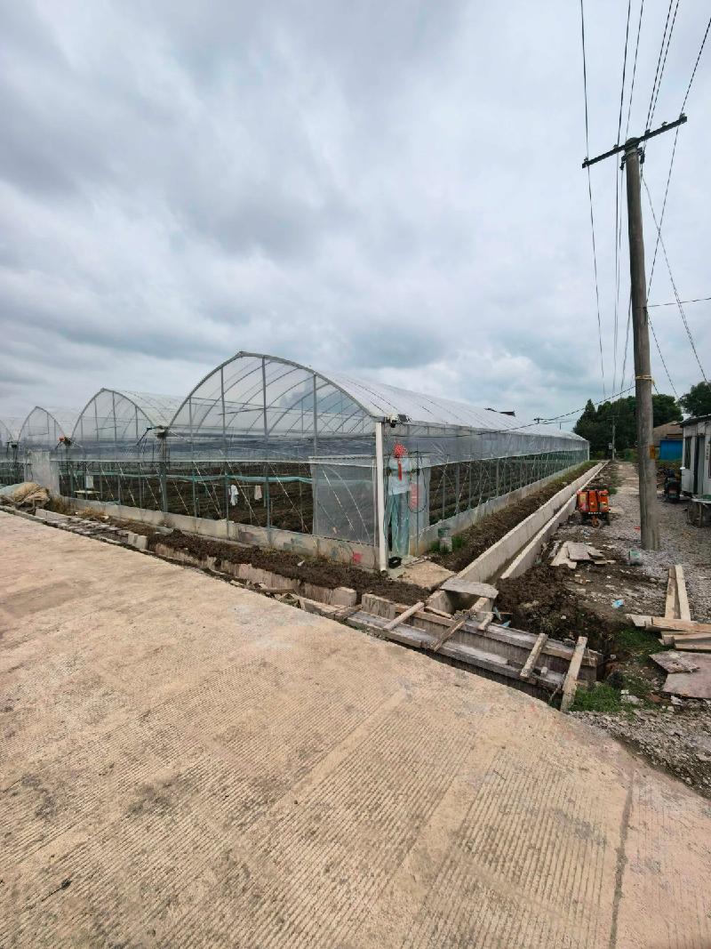 芜湖市湾沚区六郎镇中窑村2号连栋钢架温室大棚出租公告