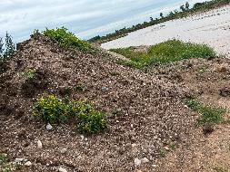 土左旗水磨沟河道清淤淤泥质粉土、混合砂石料打包处置(国资监测编号GR2026NM1004141)