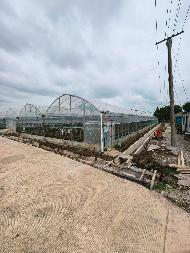 芜湖市湾沚区六郎镇中窑村2号连栋钢架温室大棚出租公告