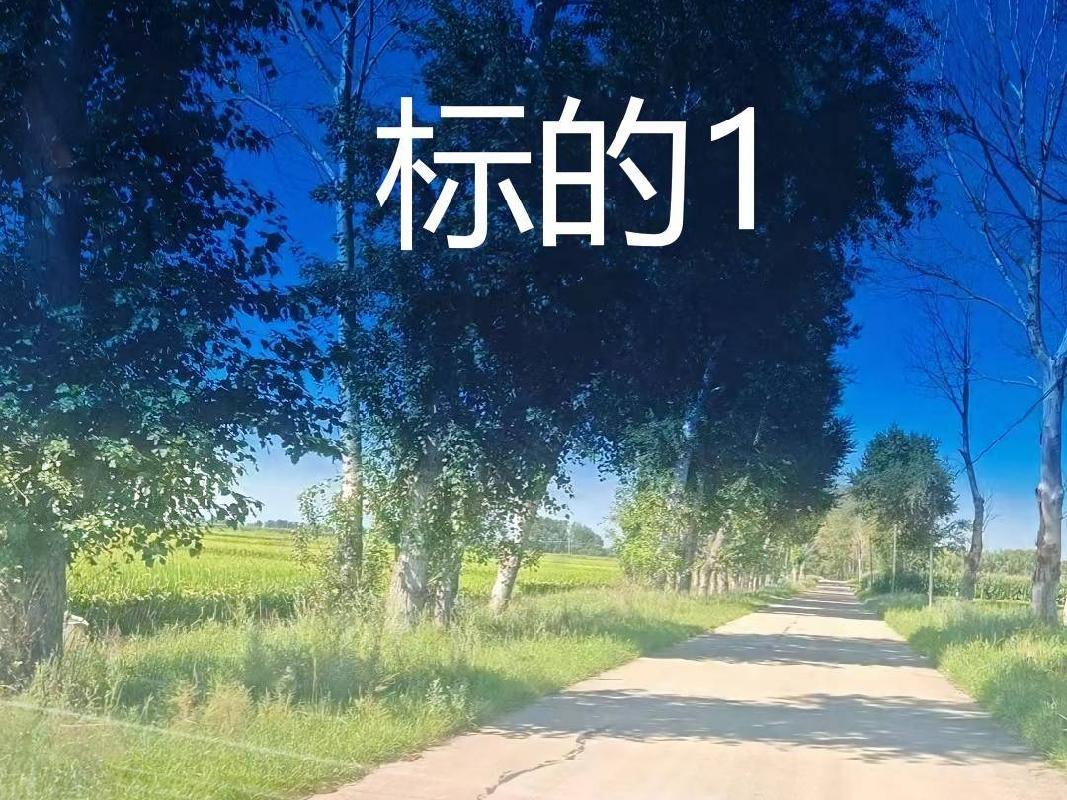 内蒙古农村商业银行扎赉特旗支行2宗林地使用权及林木所有权分别转让