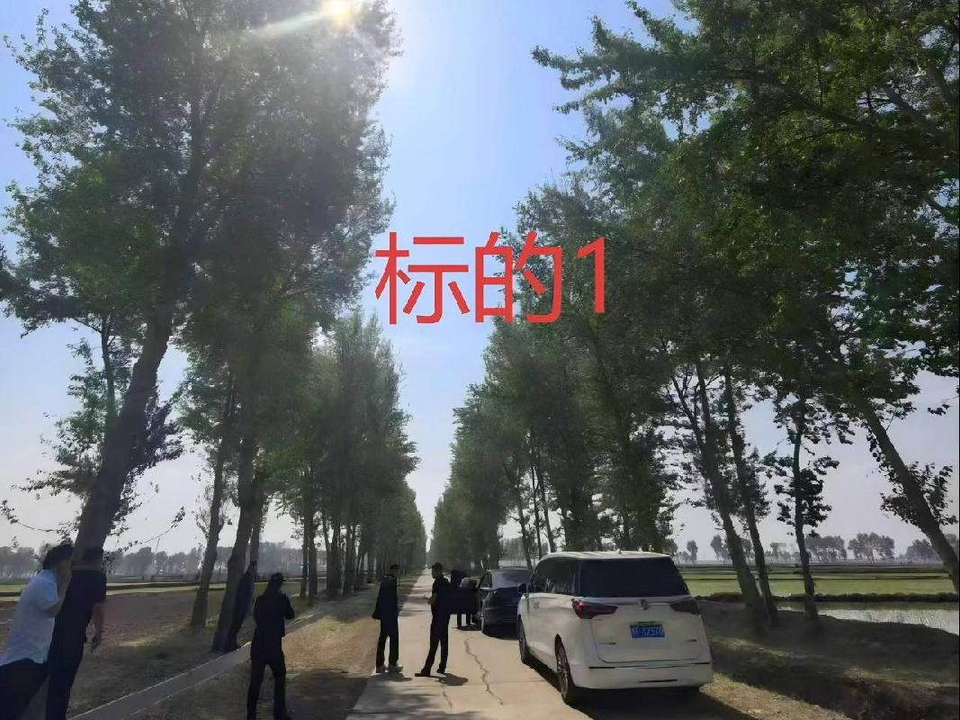 内蒙古农村商业银行扎赉特旗支行2宗林地使用权及林木所有权分别转让