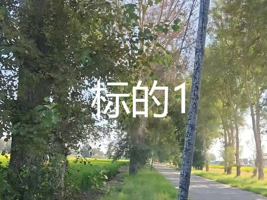 内蒙古农村商业银行扎赉特旗支行2宗林地使用权及林木所有权分别转让