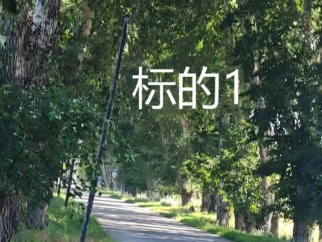 内蒙古农村商业银行扎赉特旗支行2宗林地使用权及林木所有权分别转让