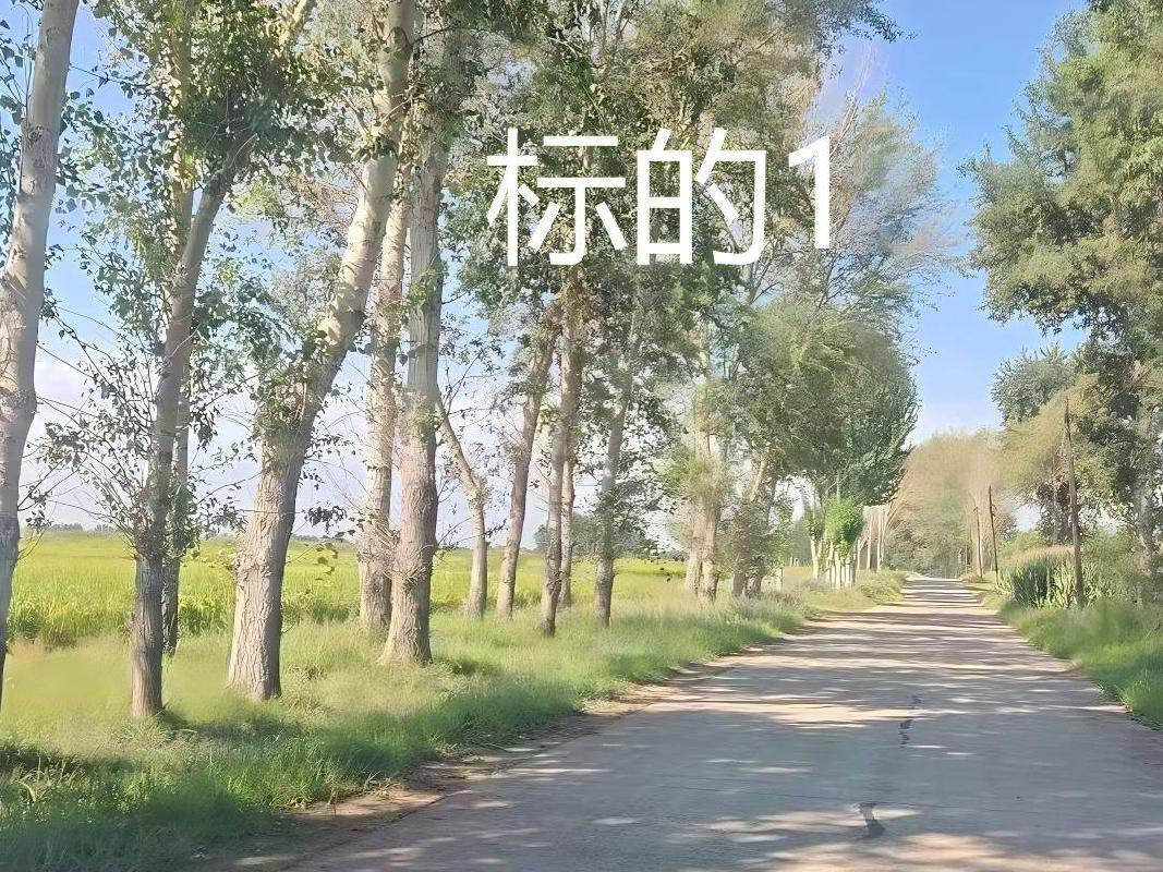 内蒙古农村商业银行扎赉特旗支行2宗林地使用权及林木所有权分别转让