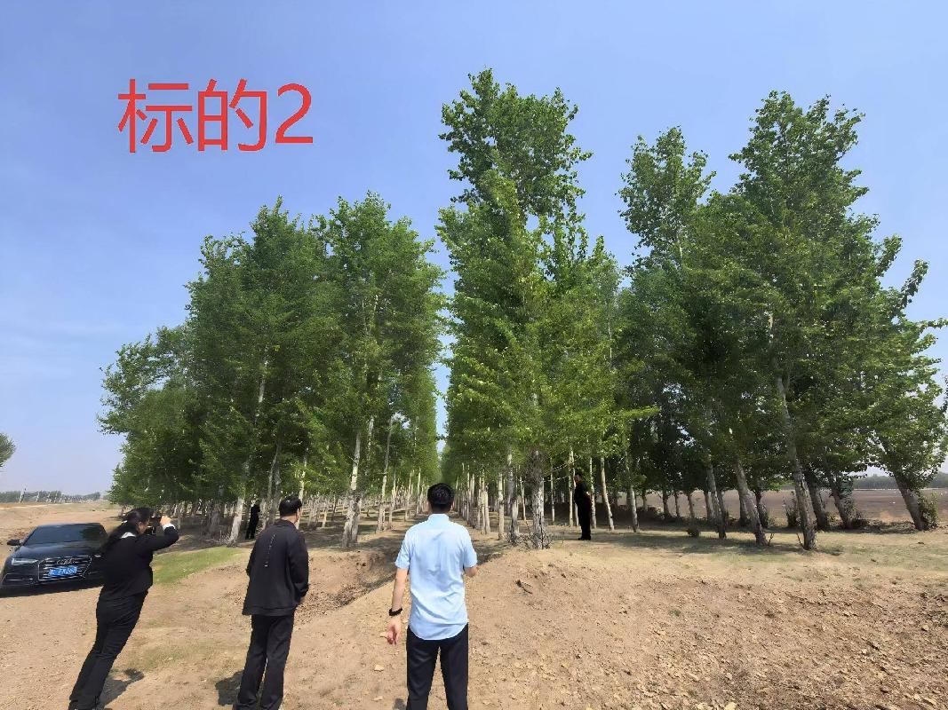 内蒙古农村商业银行扎赉特旗支行2宗林地使用权及林木所有权分别转让