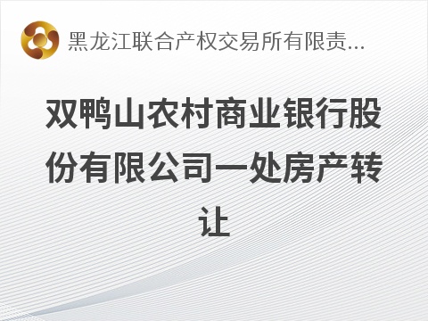 双鸭山市南市居住区3.4号楼9号地块（-1-1）03铺04铺交易公告(国资监测编号GR2026HL2005909)