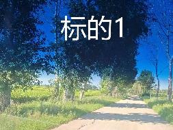 内蒙古农村商业银行扎赉特旗支行2宗林地使用权及林木所有权分别转让