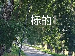 内蒙古农村商业银行扎赉特旗支行2宗林地使用权及林木所有权分别转让