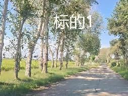 内蒙古农村商业银行扎赉特旗支行2宗林地使用权及林木所有权分别转让