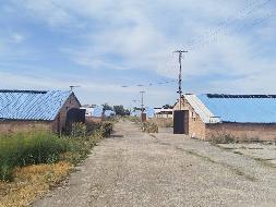 新疆西部牧业股份有限公司租赁位于石河子市总场三分场二连羊场房屋建（构）筑物及附属设施等资产(国资监测编号GR2026XJ1001767)