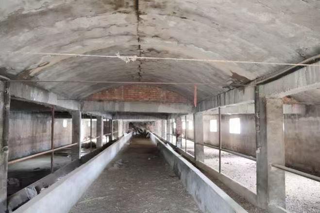 武威市凉州区大柳镇一处土地使用权及地上建筑物转让公告（第三次）
