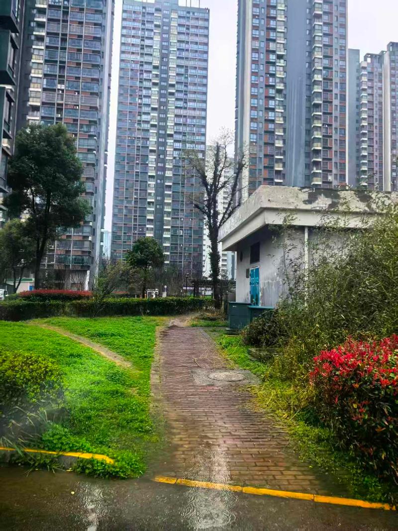 安庆市宜秀区元山路祥和南苑3幢1单元702室房产转让公告(国资监测编号GR2026AH2002480)