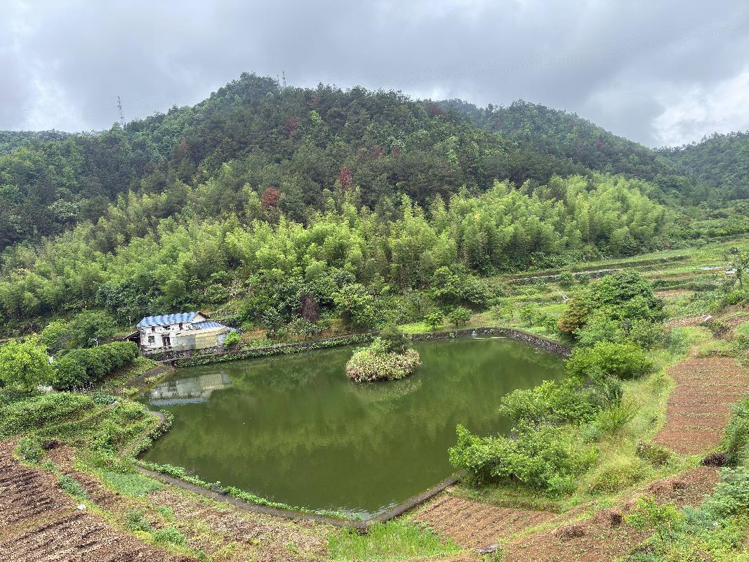 开化县芹阳办事处龙潭村蟠桃山水库公开挂牌招租