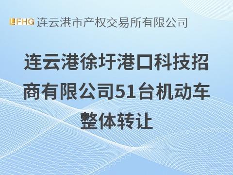 连云港徐圩港口科技招商有限公司51台机动车整体转让(国资监测编号GR2026JS3003755)