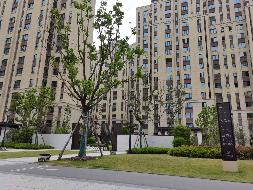 常州市钟楼区文禧园13幢乙单元202室房产转让公告(国资监测编号GR2026JS2003714)