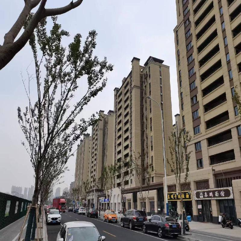 常州市钟楼区文禧园7幢504室房产转让公告(国资监测编号GR2026JS2003717)