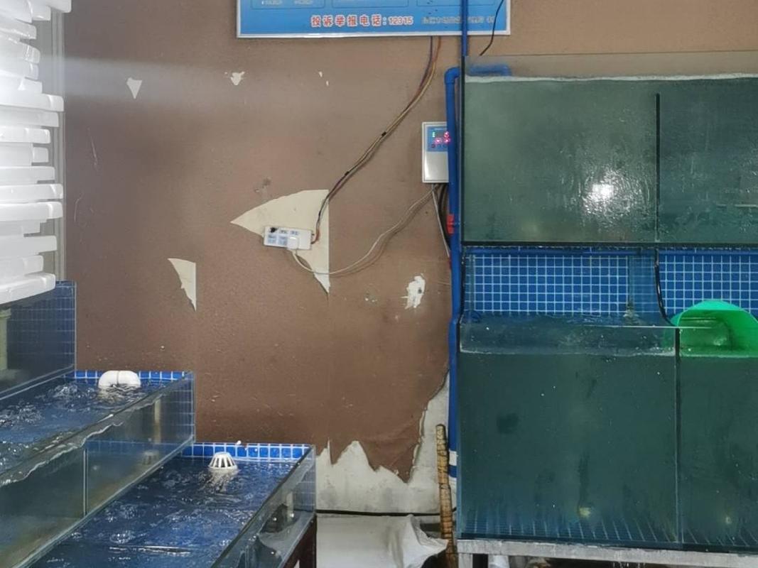包头市昆都仑区沼潭西路1号店招租（年租金底价：43617元/年，租期：3年）（包钢集团万开实业有限公司）(国资监测编号GR2026NM1004363)