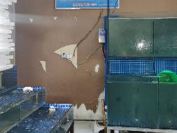 包头市昆都仑区沼潭西路1号店招租（年租金底价：43617元/年，租期：3年）（包钢集团万开实业有限公司）(国资监测编号GR2026NM1004363)
