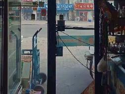 包头市昆都仑区南排道7号店招租（年租金底价：43200元/年，租期：3年）（包钢集团万开实业有限公司）(国资监测编号GR2026NM1004355)