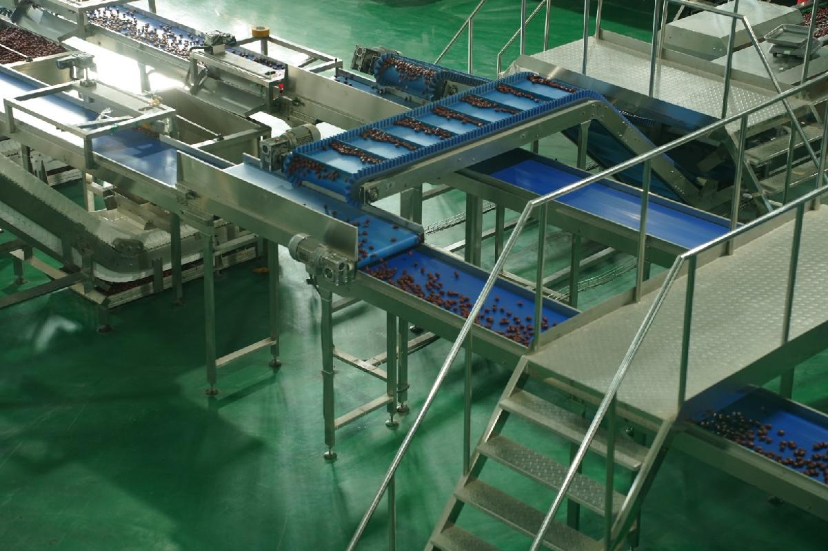 新疆叶河源果业有限公司租赁5条红枣初加工生产线（资产包三）(国资监测编号GR2026XJ1001786)