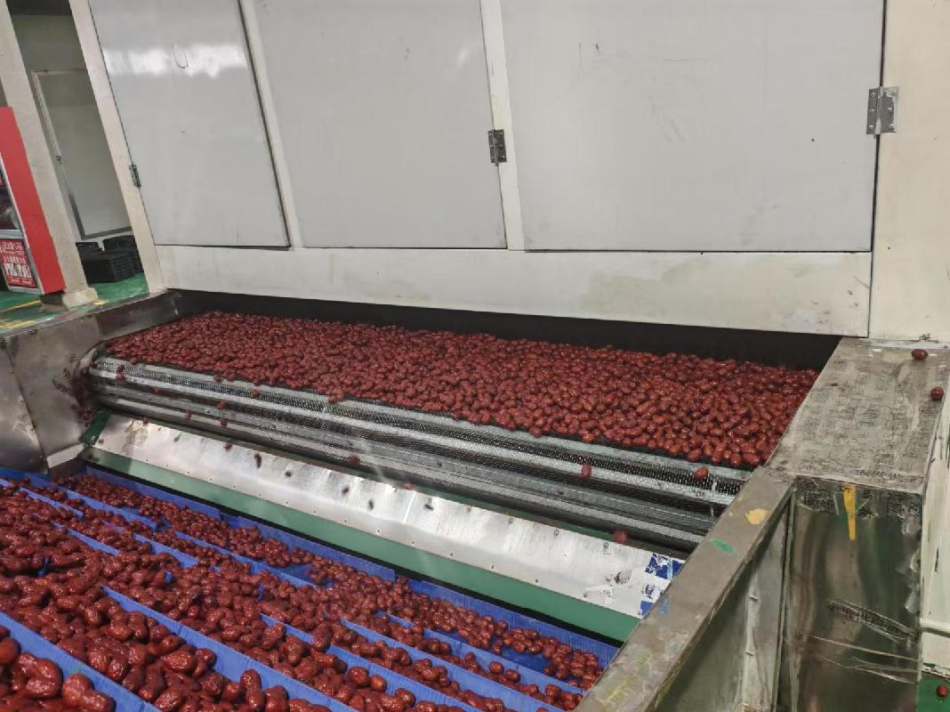 新疆叶河源果业有限公司租赁位于图木舒克市清远街101号厂房及机器设备（资产包一）(国资监测编号GR2026XJ1001784)