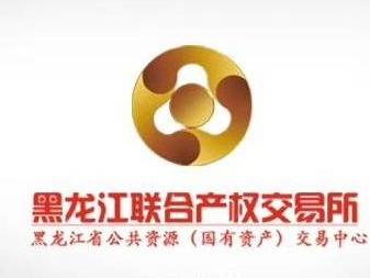 黑龙江一爱美生活服务有限公司群力新城7处商服分别出租交易公告